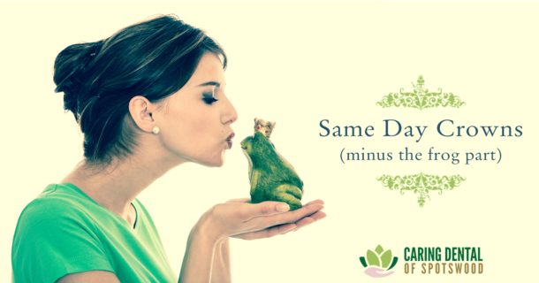 Sorkin-Blog-08-2018 Woman kissing a little green frog prince