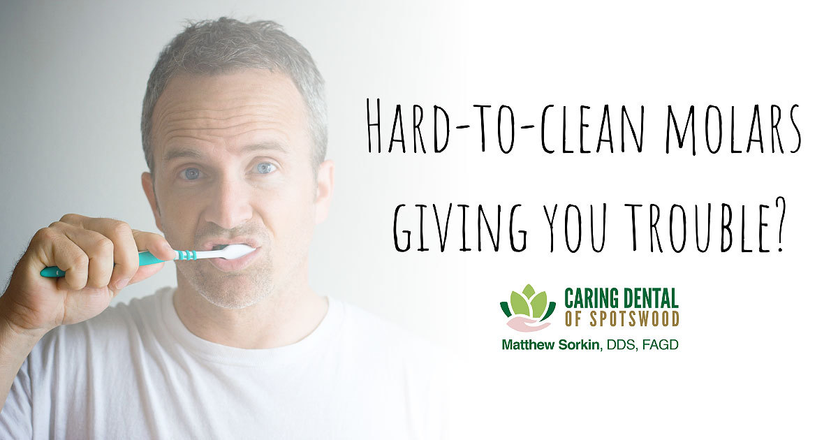 Sorkin_Blog_1200x630