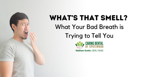 Sorkin_Blog_1200x630