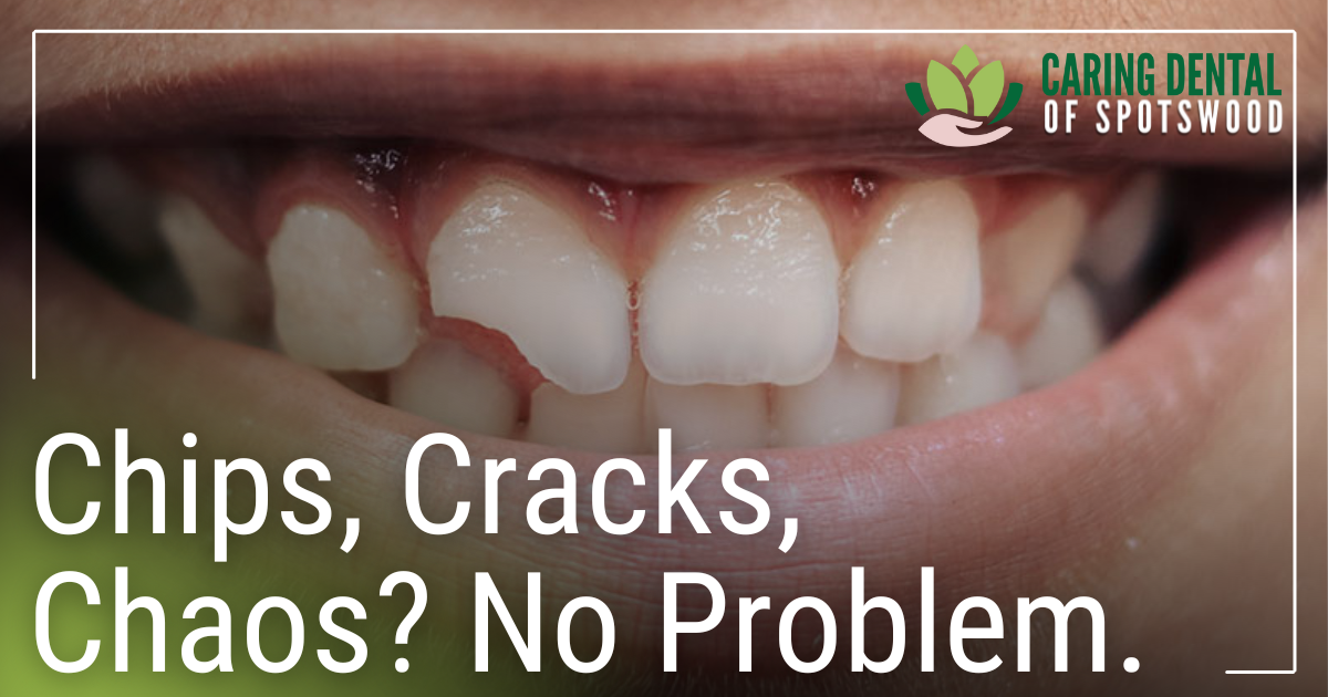 Wasserman Email January 2026