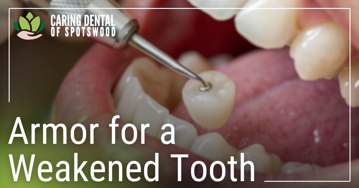 Wasserman Email March 2026